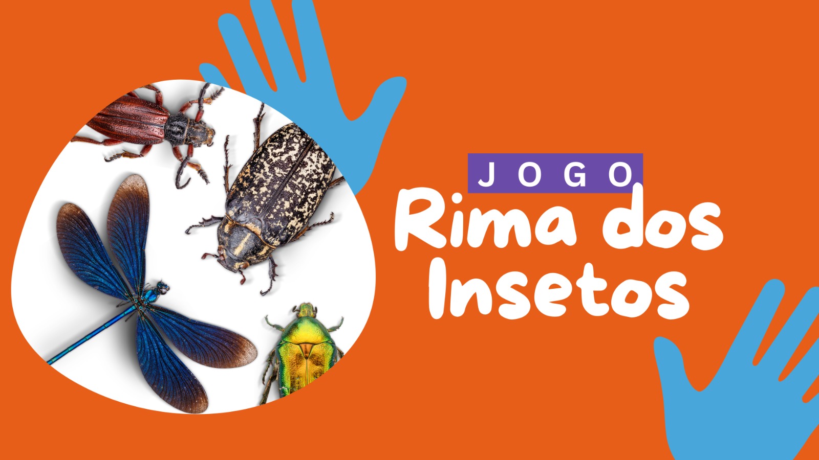 Jogo: Rima dos insetos - Imagem 2